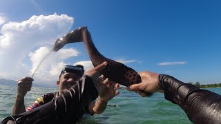 SE03EP028 Part 3 - Tuloy ang LABANAN sa PALOS DAGAT ( MORAY EEL ) Cagbalete Island, Mauban Quezon