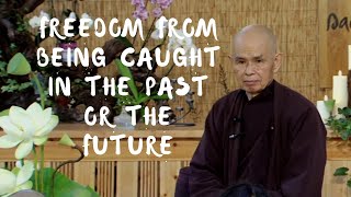 Freedom from Being Caught in the Past or the Future | Dharma talk by Thich Nhat Hanh, 2014.07.26