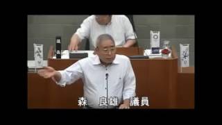 平成30年6月伊豆市議会定例会（最終日）　議案第48号質疑　森議員