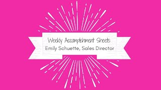 Consultants: How to fill out a weekly accomplishment sheet