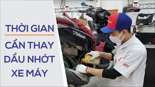 THỜI GIAN CẦN THAY DẦU NHỚT XE MÁY | HEAD VĨNH CÁT