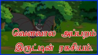 வெளவால அப்பறம் இருட்டின் ரகசியம் | Bat And The Secret Of Night | Stories for Kids | ChikuTV Tamil