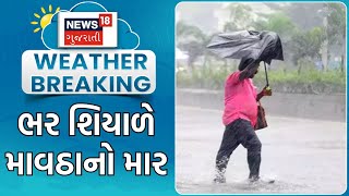 Weather Update | ભર શિયાળે ઠંડીની ઓછી અસર, માવઠાનો માર | Weather News | Winter News | News18