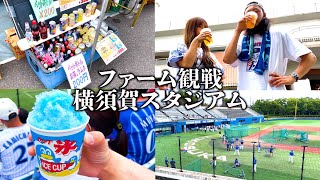 【2軍戦】夏祭り気分が味わえる横須賀スタジアムで野球観戦。