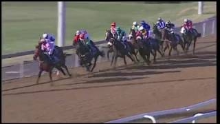 20190616 Greyville express clip Race 6 won by IRISH WONDER GIRL