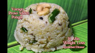 வரகு வெண் பொங்கல்-Varagu arisi pongal-10 Min Proso Millet Breakfast-Dinner Recipe in 10 min