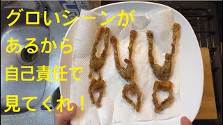 毒がある蛙を捌いて食べてみた