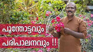 MY HOME GARDEN TOUR🌻🌱🌷 | എന്റെ പൂന്തോട്ടവും പരിപാലനവും !! | SNEHAPOORVAM ACHAYAN