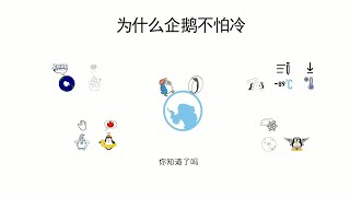 Why are penguins not afraid of cold?|为什么企鹅不怕冷？