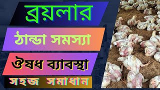 ব্রয়লার মুরগির ঠান্ডা রোগের চিকিৎসা। মুরগির ঠান্ডা লাগলে কি ঔষধ চালাবেন।