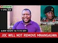 Mnangagwa Will Not Be Removed By JOC - Albert Matapo