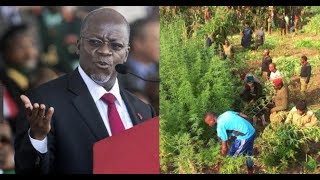 Rais Magufuli apiga 'STOP' Polisi kufyeka bangi