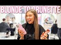 I WENT BACK BRUNETTE🧸🤎 | Blonde to Brunette Hair Appointment Vlog | Lauren Norris