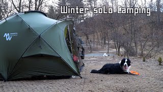 Solo Camping / 보더콜리 캠핑 / boder Collie Camping / 애견캠핑 / Winter Camping / 쉘터G / 새와참새 캠핑장