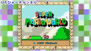 スーパーマリオワールド　バニラドーム