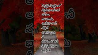 motivationalquotes inspirationalquotes jeevithasatyalustatus sukutulu relationshipquotes quotes