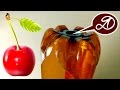 How to harvest cherry on high tree? DIY cherry harvester. The use of PET bottles