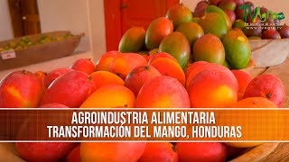 Transformación del Mango en la Industria Alimentaria- TvAgro por Juan Gonzalo Angel