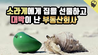 소라게에게 집을 마련해주고 대박난 부동산 회사 'SUUMO'의 Shell we move 캠페인