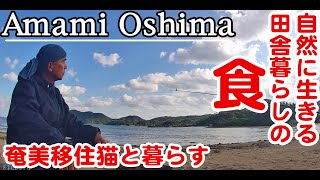 奄美大島に移住、田舎暮らしのスローライフ。煮沸殺菌した手作りグアバジャムを半年後にに食べてみた。ビーチの野草を食べる。田舎で猫と暮らす。６0代老後の田舎移住。