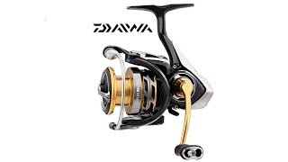 New Daiwa EXCELER LT 1000 6000 Series Spinning Reel Light Tough 5+1 Ball Bearings 5 25 35 1 Gear Rat