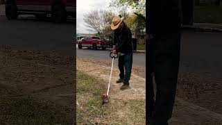 Ultimate Lawn Transformation: Mowing, Edging, and Leaf Cleanup | Satisfying Lawn Care short video 03