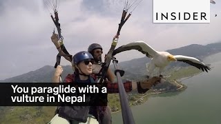 Go Paragliding With A Vulture In Nepal