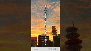 山頭火を読む【夕焼け編④】 #自由律俳句 #種田山頭火 #山頭火 #shorts #ひめ  #また一日が終わる