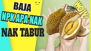 Pembajaan pokok durian selepas berbuah