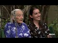 the recipients of the order of australia honours come from all walks of life abc news