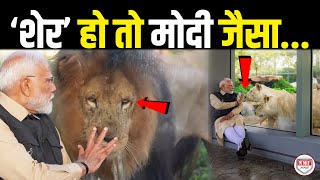 शेर हो तो मोदी जैसा... यकीन नहीं हो तो देखिए | Modi | Lion | Vantara in Jamnagar, Gujarat