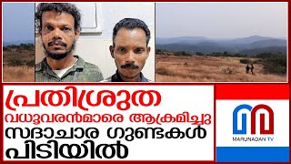 പ്രതിശ്രുത വധൂവരന്‍മാരെ ആക്രമിച്ച സദാചാര ഗുണ്ടകള്‍ പിടിയില്‍  I    Pookkunn hills