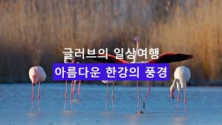 아름다운 한강의 풍경