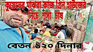 কুয়েত মাজরা কাজ গ্রিনহাউজের নিচে  শসা চাষ বেতন ১২০  দিনার