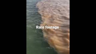 Rare footage of Atlantic Ocean & Pacific Ocean🌊 💯