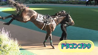 段々疲れてきてドラゴンキックのキレがなくなるドラゴンゴクウ🐉