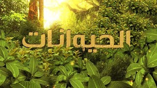 نشید الحیوانات - ذوالفقار للإنشاد