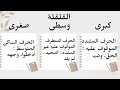 شرح صفات الحروف شرح كتاب المنير