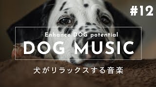 Relaxing Music for Dogs #12【Relieves Separation Anxiety, Sleep Disorders and Boredom】