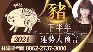 林海陽 預言提點 2021【生肖豬】下半年運勢大預言 20210718