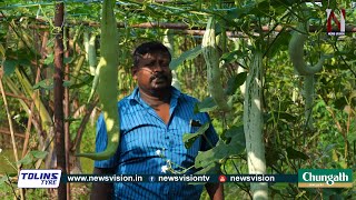 വിവിധയിനം കൃഷികൾ : നൂറ് മേനി വിളയിച്ച്‌  പാറപ്പുറം സ്വദേശി സനേഷ് I saneesh kanjoor parappuram