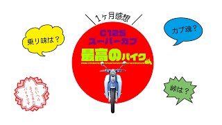 人生で一番いい買い物をしました。〜1ヶ月乗って分かったスーパーカブC125の良いところ〜