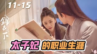 《锦衣之下》之太子妃的职业生涯 第11-15集。