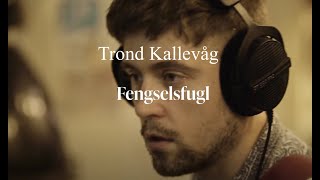 Trond Kallevåg - Fengselsfugl (Album out now!)