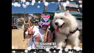 💖サモエドさくら💖わんことド迫力のプロレス観戦\u0026野崎参り🐶💖✨🐶🐕🐩💖