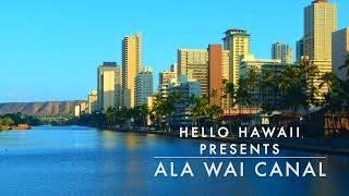 15min Views of Ala Wai Canal with LoFi Beatz