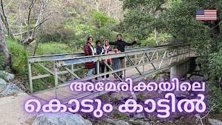 അമേരിക്കയിലെ കൊടും കാട്ടിൽ! എവിടെയാണെങ്കിലും കാടു കയറണം,  വേറെ ലെവൽ അനുഭവം! Sierra Madre Trail