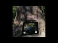 World Famous Drive Thru Tree Park, Leggett ,Chandelier Tree, Redwood National Park, CA, California