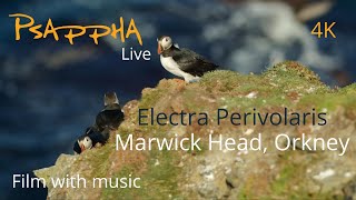 Electra Perivolaris - Marwick Head, Orkney (Film version) (Psappha commission, world premiere)