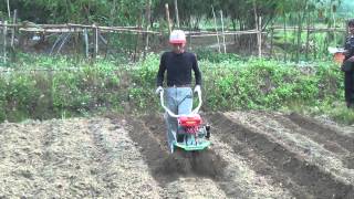 擎億協助農機行CY80新機開溝教學 Cultivator ridging/furrowing in field